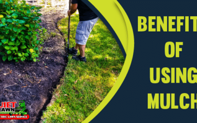 Benefit’s of Using Mulch!