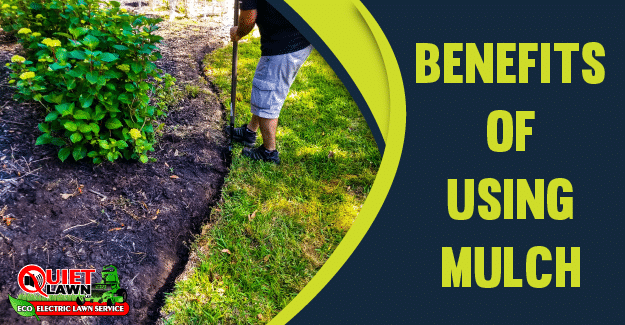 Benefit’s of Using Mulch!