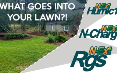 What goes into your lawn?