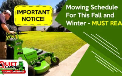 Mowing Schedule in Winter and Summer