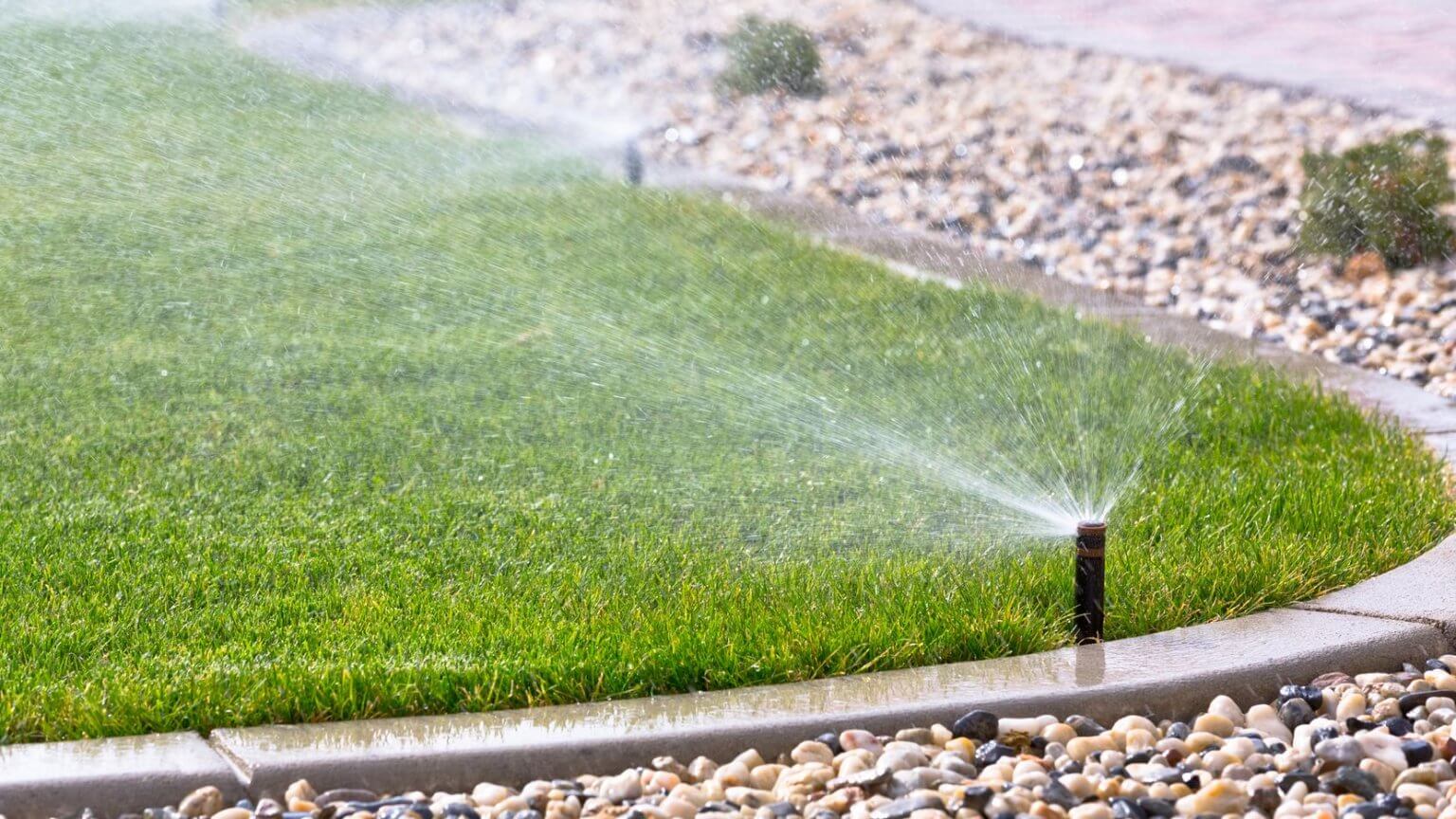 How often should you water your lawn? ⋆ Blog ⋆ Quiet Lawn LLC