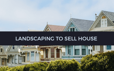 Landscaping to sell house