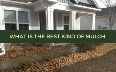 What is the best kind of mulch