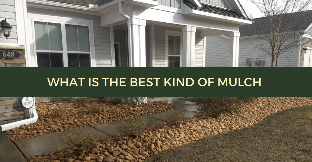 What is the best kind of mulch