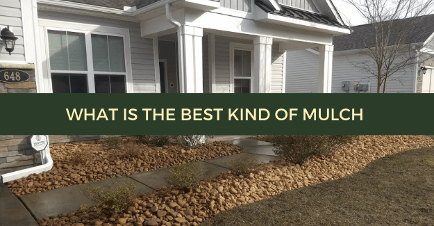 what is the best kind of mulch